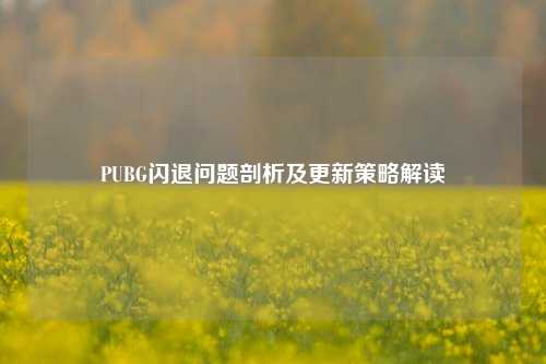PUBG闪退问题剖析及更新策略解读