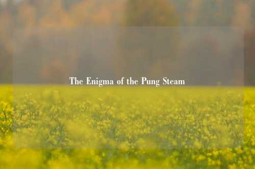 The Enigma of the Pung Steam