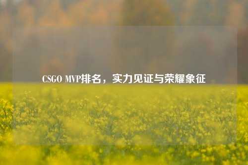 CSGO MVP排名，实力见证与荣耀象征