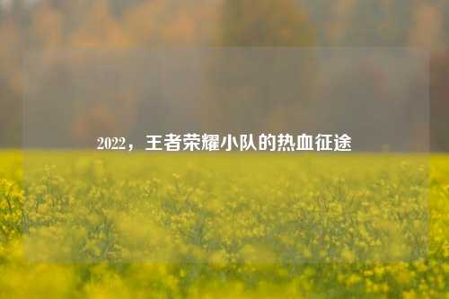 2022,王者荣耀小队的热血征途