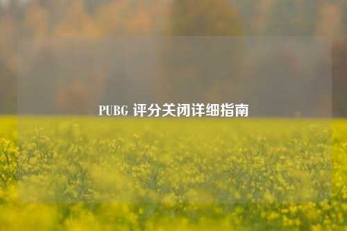 PUBG 评分关闭详细指南