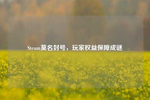 Steam莫名封号，玩家权益保障成谜
