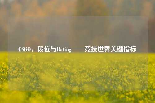 CSGO，段位与Rating——竞技世界关键指标