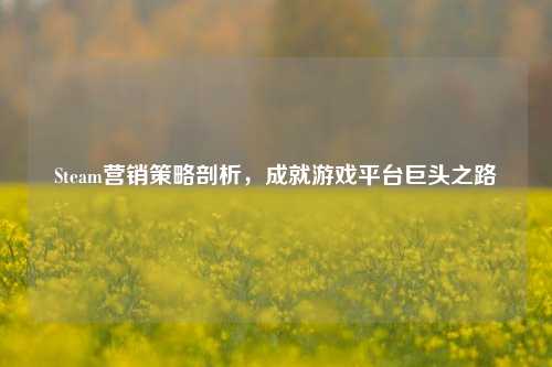 Steam营销策略剖析,成就游戏平台巨头之路