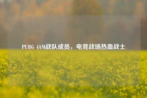 PUBG 4AM战队成员,电竞战场热血战士