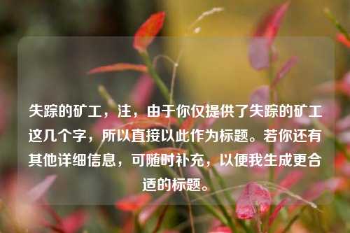 失踪的矿工，注，由于你仅提供了失踪的矿工这几个字，所以直接以此作为标题。若你还有其他详细信息，可随时补充，以便我生成更合适的标题。