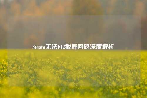 Steam无法F12截屏问题深度解析