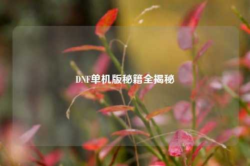 DNF单机版秘籍全揭秘