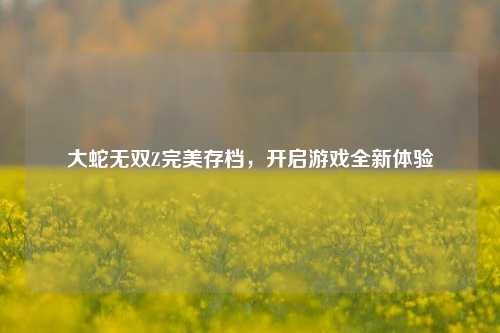 大蛇无双Z完美存档，开启游戏全新体验