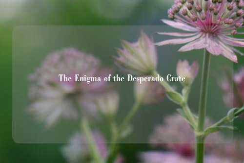 The Enigma of the Desperado Crate