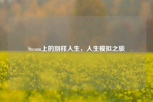 Steam上的别样人生，人生模拟之旅
