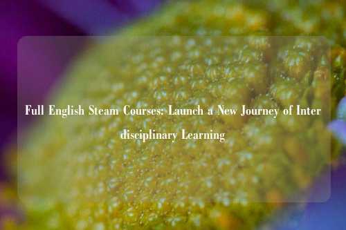 Full English Steam Courses: Launch a New Journey of Interdisciplinary Learning