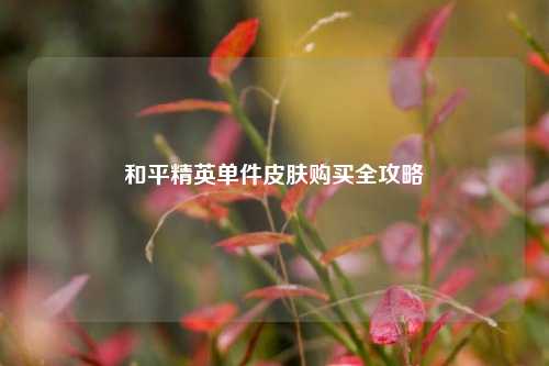 和平精英单件皮肤购买全攻略