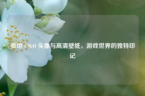 泰坦 CSGO 头像与高清壁纸,游戏世界的独特印记
