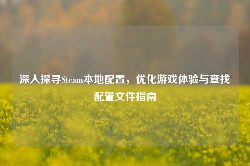 深入探寻Steam本地配置，优化游戏体验与查找配置文件指南