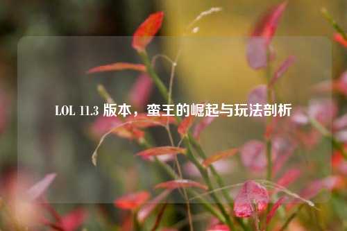 LOL 11.3 版本，蛮王的崛起与玩法剖析
