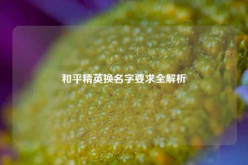 和平精英换名字要求全解析