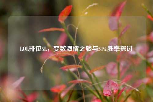 LOL排位5L，变数激情之旅与51%胜率探讨