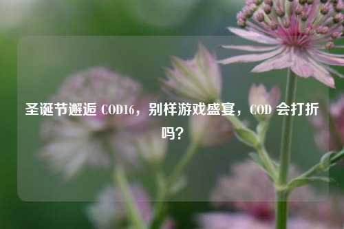 圣诞节邂逅 COD16，别样游戏盛宴，COD 会打折吗？