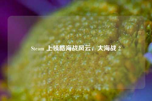 Steam 上领略海战风云，大海战 2