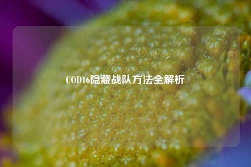 COD16隐藏战队方法全解析