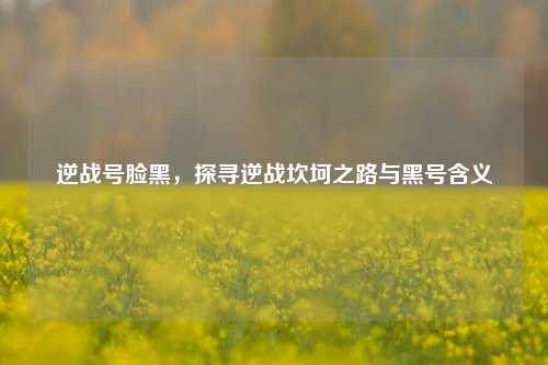 逆战号脸黑,探寻逆战坎坷之路与黑号含义