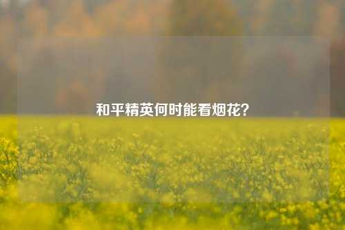 和平精英何时能看烟花?