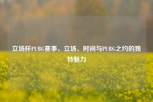 立场杯PUBG赛事，立场、时间与PUBG之约的独特魅力