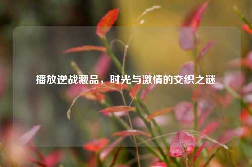 播放逆战藏品，时光与激情的交织之谜