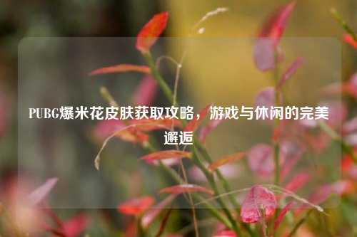 PUBG爆米花皮肤获取攻略,游戏与休闲的完美邂逅