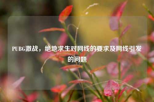 PUBG激战，绝地求生对网线的要求及网线引发的问题