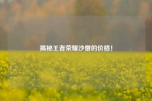 揭秘王者荣耀沙僧的价格！