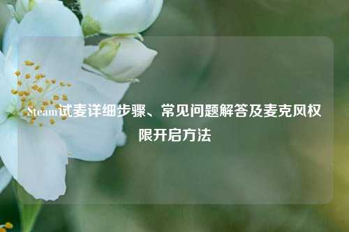 Steam试麦详细步骤、常见问题解答及麦克风权限开启方法