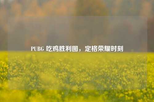 PUBG 吃鸡胜利图,定格荣耀时刻