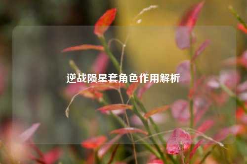 逆战陨星套角色作用解析