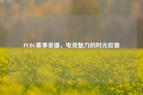 PUBG赛事录播,电竞魅力的时光胶囊