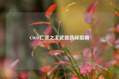 CSGO亡灵之主武器选择指南