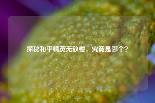 探秘和平精英无敌楼,究竟是哪个?