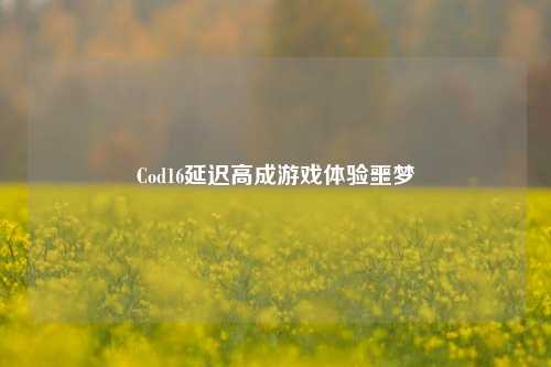 Cod16延迟高成游戏体验噩梦