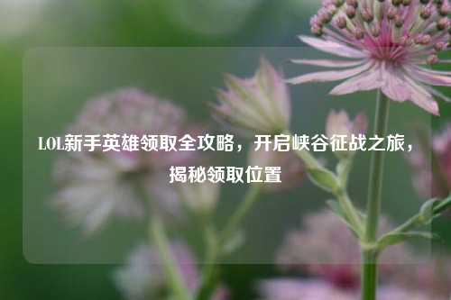 LOL新手英雄领取全攻略，开启峡谷征战之旅，揭秘领取位置