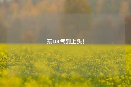 玩LOL气到上头！