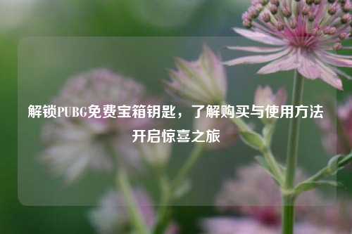 解锁PUBG免费宝箱钥匙，了解购买与使用方法开启惊喜之旅