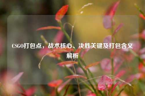 CSGO打包点,战术核心、决胜关键及打包含义解析
