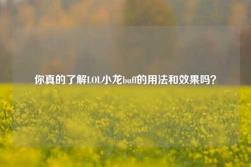 你真的了解LOL小龙buff的用法和效果吗?