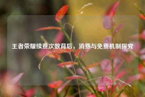 王者荣耀续费次数背后，消费与免费机制探究