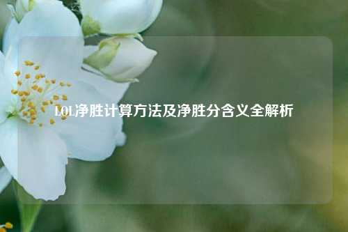 LOL净胜计算方法及净胜分含义全解析