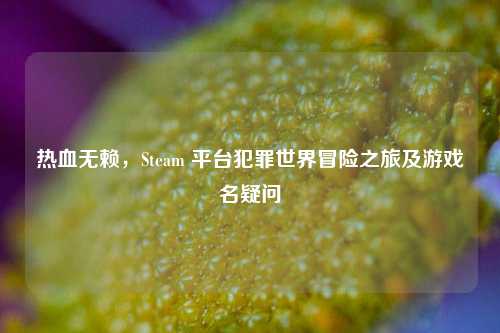 热血无赖，Steam 平台犯罪世界冒险之旅及游戏名疑问