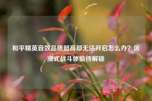 和平精英音效品质超高却无法开启怎么办？沉浸式战斗体验待解锁