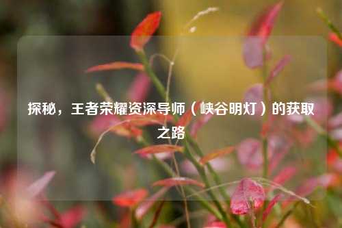 探秘，王者荣耀资深导师（峡谷明灯）的获取之路