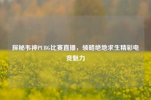 探秘韦神PUBG比赛直播，领略绝地求生精彩电竞魅力